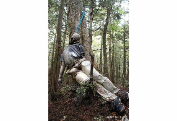 Aokigahara Jukai: La forest maudite 29189e25